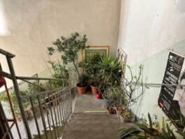  Film Location in Österreich von Maria Wittmann