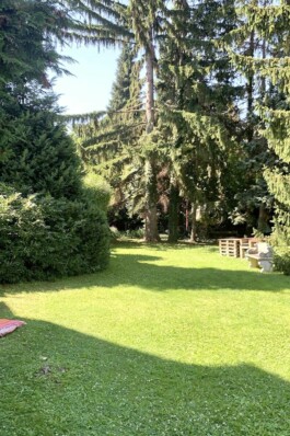  Film Location in Österreich von Maria Wittmann