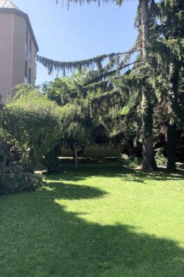  Film Location in Österreich von Maria Wittmann