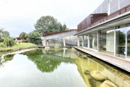  Film Location in Österreich von Maria Wittmann