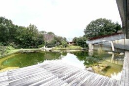  Film Location in Österreich von Maria Wittmann