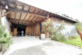  Film Location in Österreich von Maria Wittmann