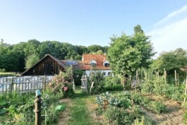  Film Location in Österreich von Maria Wittmann