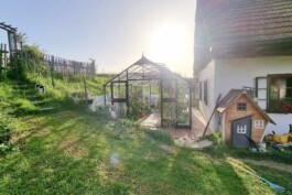  Film Location in Österreich von Maria Wittmann