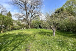  Film Location in Österreich von Maria Wittmann