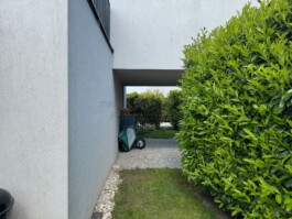  Film Location in Österreich von Maria Wittmann