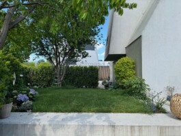  Film Location in Österreich von Maria Wittmann