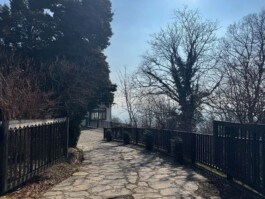  Film Location in Österreich von Maria Wittmann