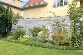  Film Location in Österreich von Maria Wittmann