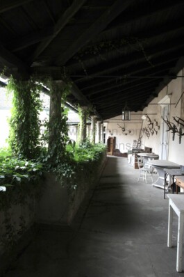  Film Location in Österreich von Maria Wittmann