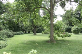  Film Location in Österreich von Maria Wittmann