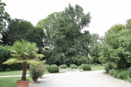  Film Location in Österreich von Maria Wittmann