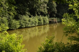  Film Location in Österreich von Maria Wittmann