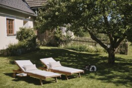  Film Location in Österreich von Maria Wittmann