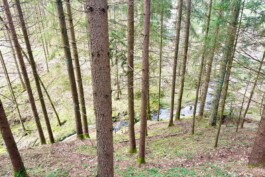  Film Location in Österreich von Maria Wittmann