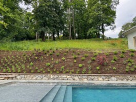  Film Location in Österreich von Maria Wittmann