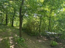  Film Location in Österreich von Maria Wittmann