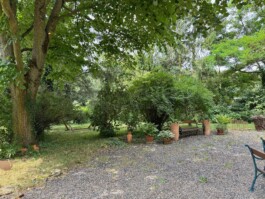  Film Location in Österreich von Maria Wittmann