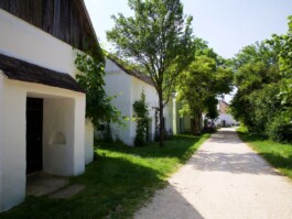  Film Location in Österreich von Maria Wittmann