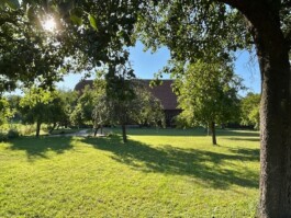  Film Location in Österreich von Maria Wittmann