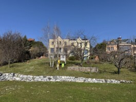  Film Location in Österreich von Maria Wittmann