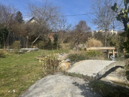  Film Location in Österreich von Maria Wittmann