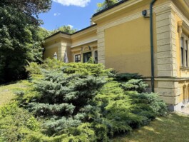  Film Location in Österreich von Maria Wittmann